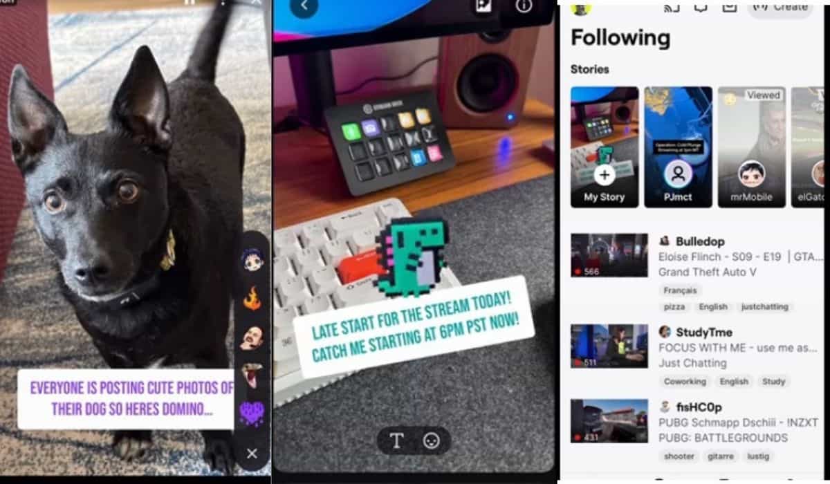 Twitch lanserar 48-timmars berättelser i sin app (Twitch)