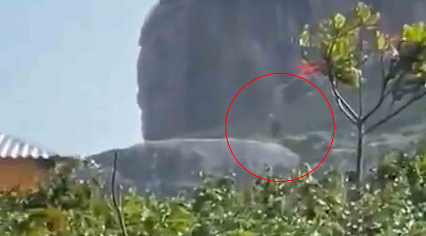 Video Shows Strange 3-Meter-Tall Beings Spotted on an Island in Southern Brazil. Photos and videos: Twitter @monikoogi