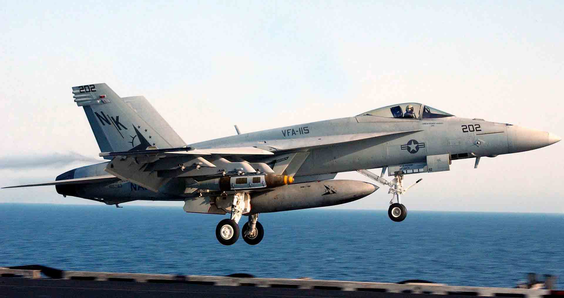 F-18 Super Hornet. 사진: 위키미디어