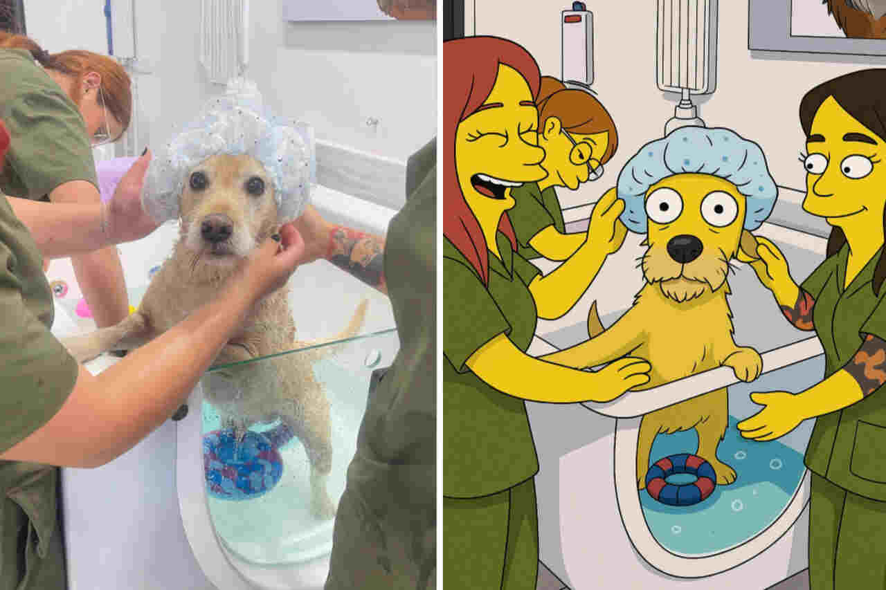 More than 'Studio Ghibli': Learn how to transform your photos into 'Simpsons' style with ChatGPT