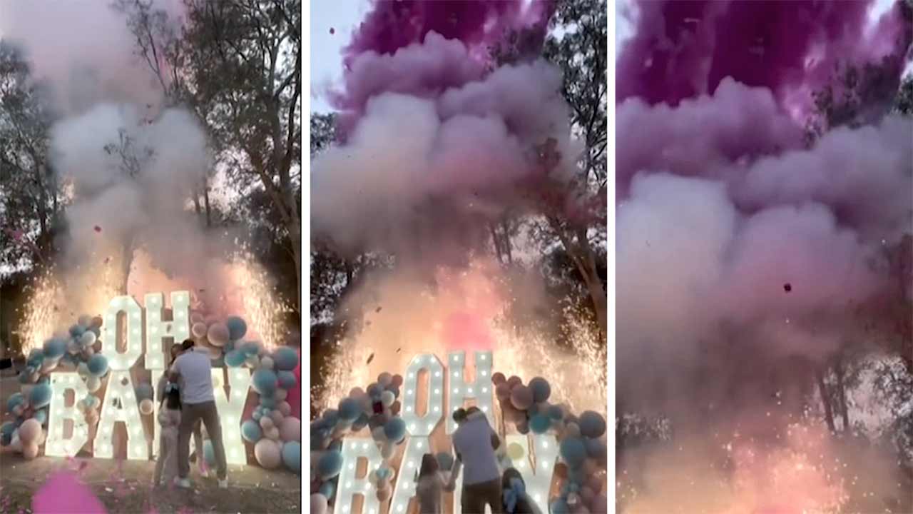 Fotos: Reprodução TikTok @citynewsto