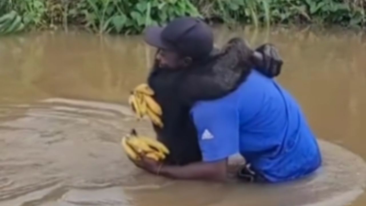 Συγκινητικό βίντεο: Χιμπαντζής συναντά ξανά τον φροντιστή του χρόνια μετά την επιστροφή του στη φύση και συγκινεί τους χρήστες του διαδικτύου