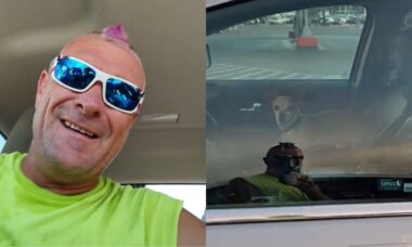 Homem ameaça quebrar vidro de carro para soltar chihuahua e causa polêmica em TikTok viral