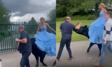 Adolescente viraliza após chegar montada em uma vaca para a sua formatura